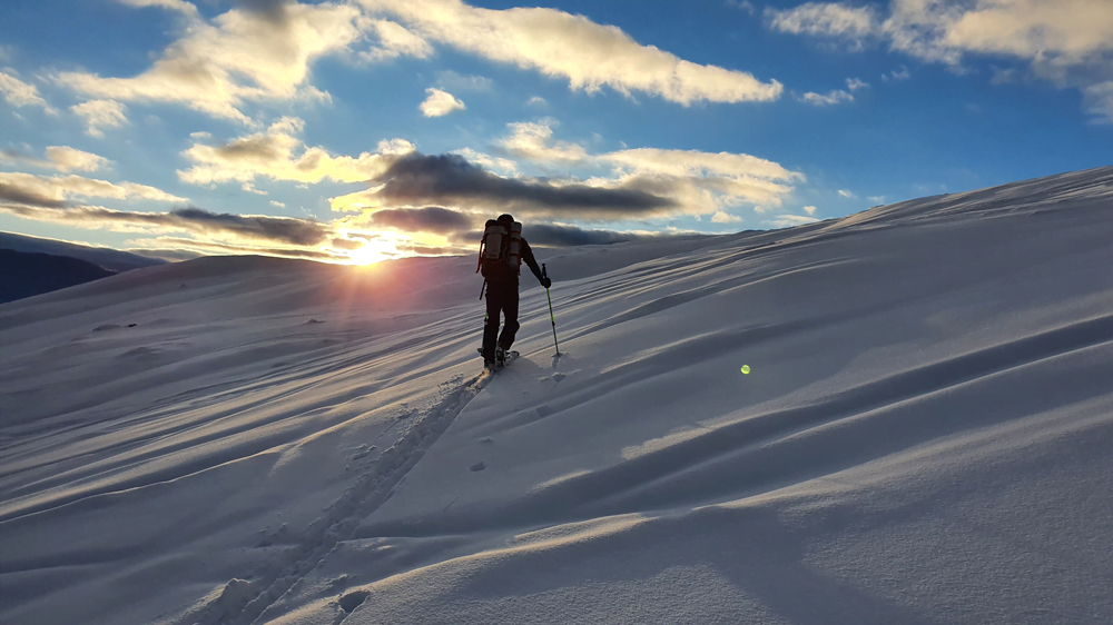 skredkurs topptur